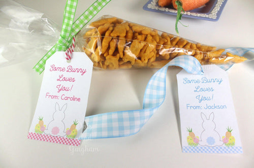 Easter Tags, Some Bunny Loves You, Children's Easter Tags - DotsAndGingham